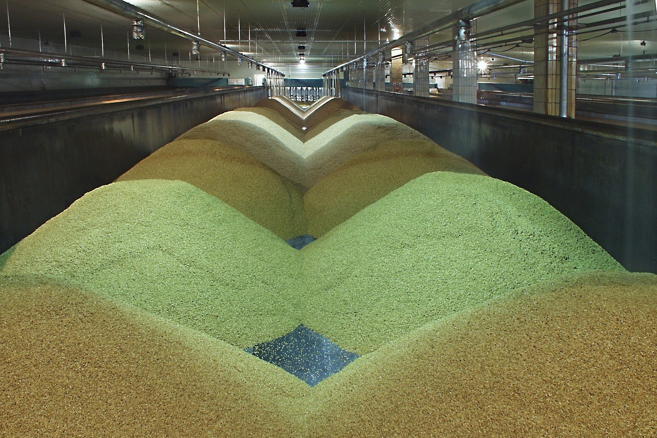 na_czym_polega_slodowanie_foodtrade na_czym_polega_slodowanie_foodtrade