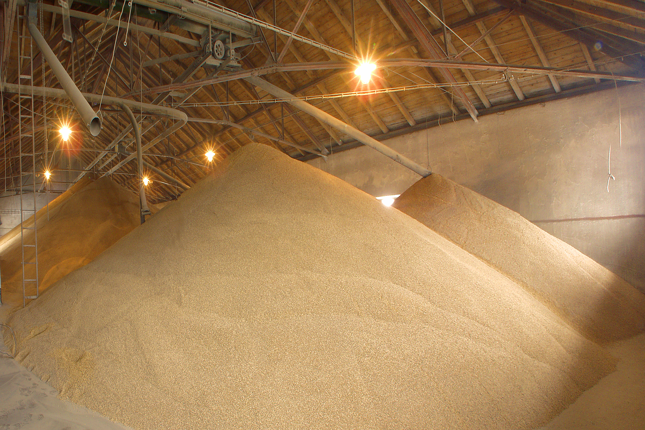 jakie_slody_sa_najczesciej_uzywane_w_browarnictwie_foodtrade jakie_slody_sa_najczesciej_uzywane_w_browarnictwie_foodtrade