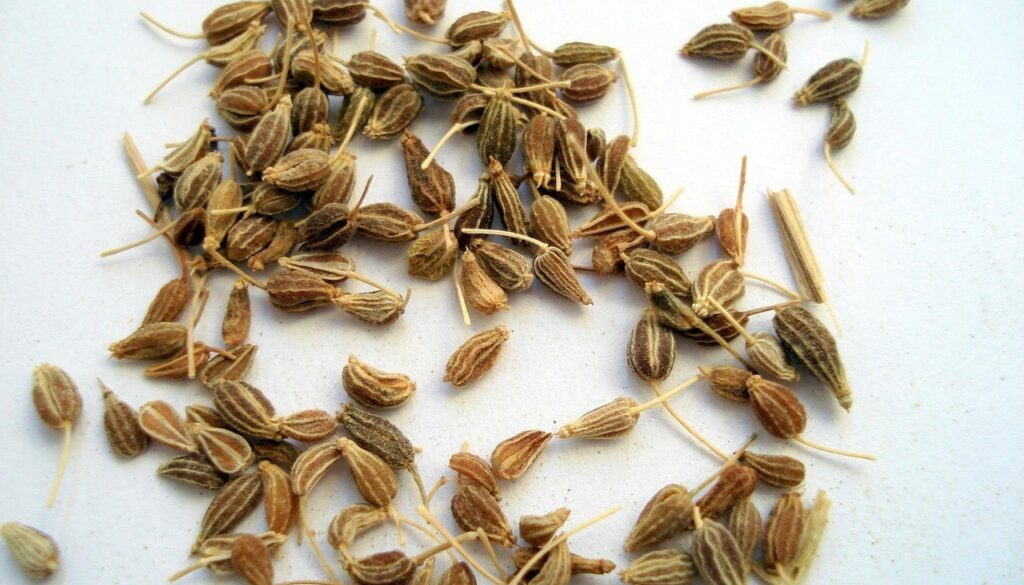 smak_anyzu_foodtrade