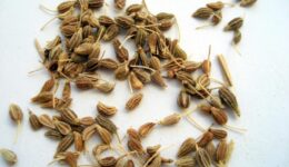 smak_anyzu_foodtrade