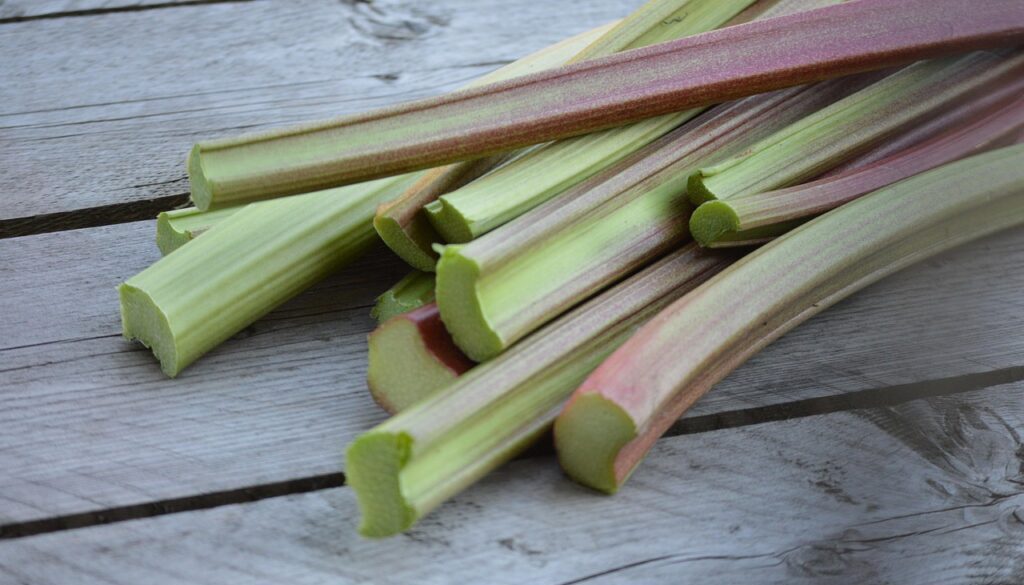 rabarbar_nie_tylko_kompot