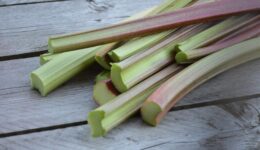 rabarbar_nie_tylko_kompot